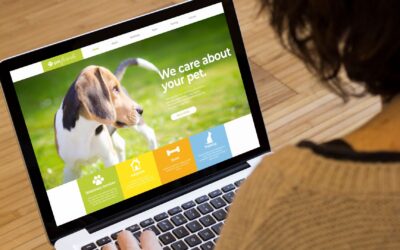 Why Your About Page is More Important Than You Think