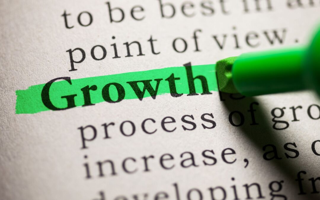 Designing for Growth: Website Features That Support Automation and Lead Management