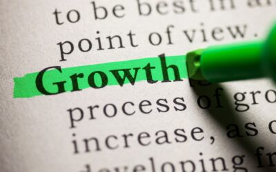 Designing for Growth: Website Features That Support Automation and Lead Management